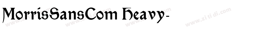 MorrisSansCom Heavy字体转换